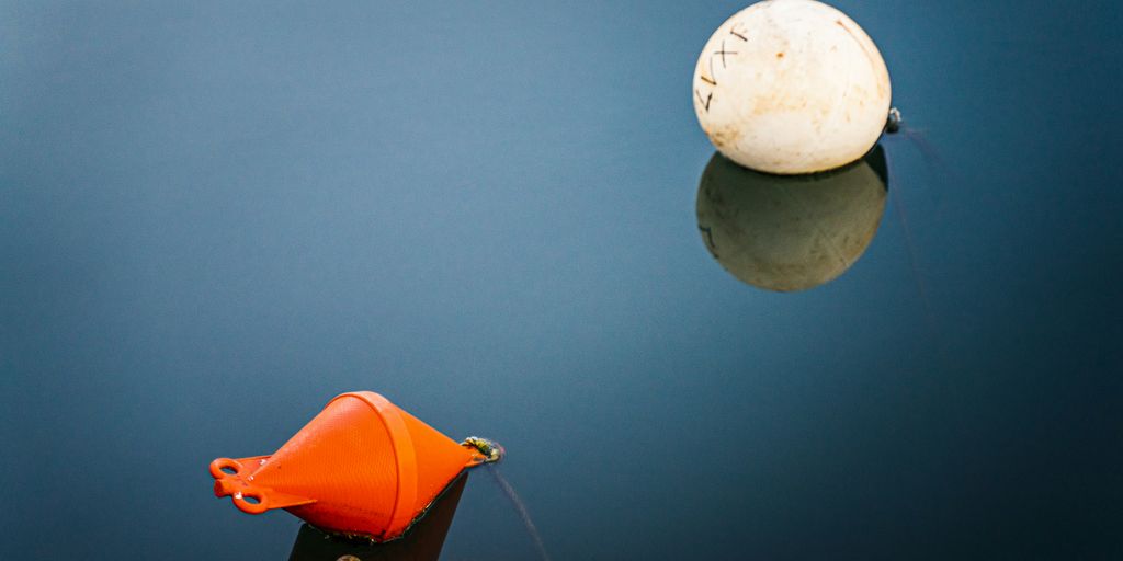 orange and white plastic toys