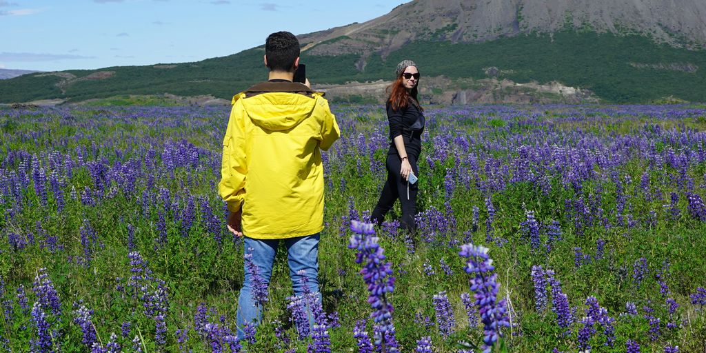 person checking GitLab version on a computer screen